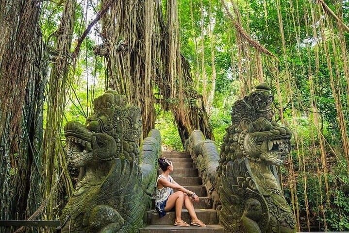 Hidden Ubud: Waterfalls, Sacred Temples & Rice Terraces — Private Full-Day Tour photo 6