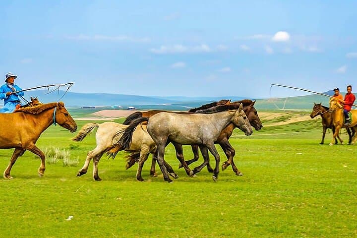 9-Day Private Mongolia Tour: Genghis Khan Birthplace & Terelj National Park photo 4