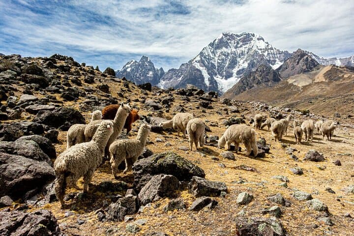 Ausangate 7 Lagoons Hike and Pacchanta Hot Springs Day Trip from Cusco photo 3