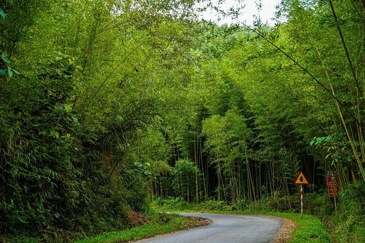 Cao Bang 3-Day Easy Rider Motorbike Loop: Ban Gioc, Khau Coc Cha & Homestays photo 3