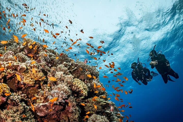 Yanbu Scuba Diving for Beginners: Shore & Boat Dives at Sharm Yanbu