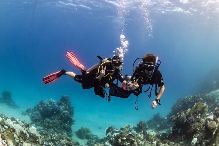 Yanbu Scuba Diving for Beginners: Shore & Boat Dives at Sharm Yanbu photo 5