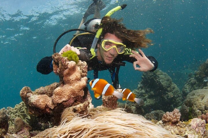 Private Red Sea Diving Tour in Yanbu — Al-Fasma, Al-Qadr, Wrecks & Seven Sisters