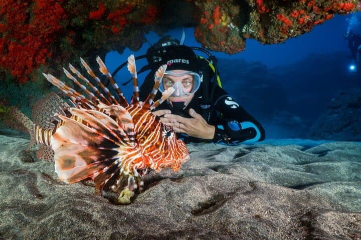 Private Red Sea Diving Tour in Yanbu — Al-Fasma, Al-Qadr, Wrecks & Seven Sisters photo 2