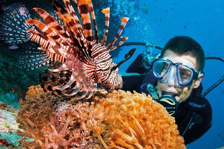 Private Red Sea Diving Tour in Yanbu — Al-Fasma, Al-Qadr, Wrecks & Seven Sisters photo 4
