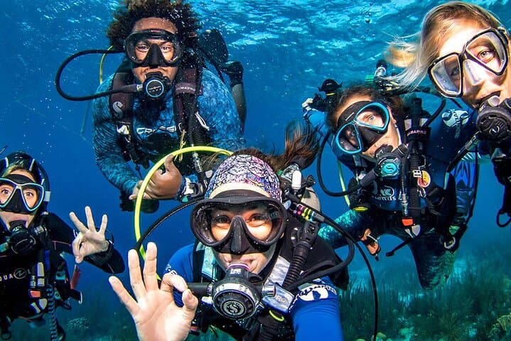 Private Red Sea Diving Tour in Yanbu — Al-Fasma, Al-Qadr, Wrecks & Seven Sisters photo 5