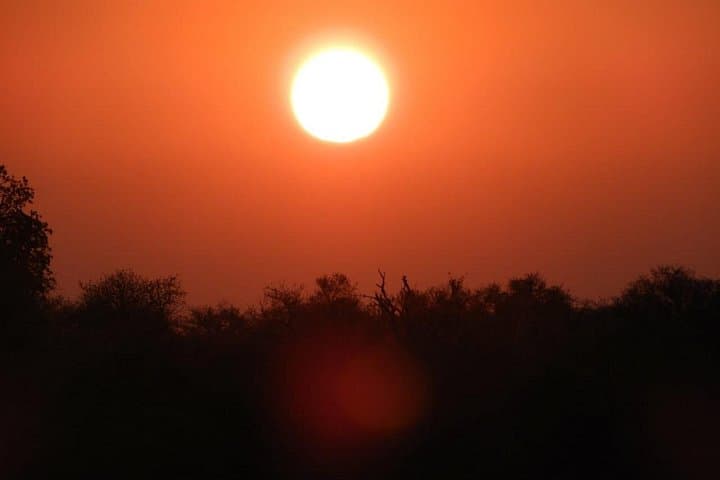5-Day Kruger & Manyeleti Safari: Big Five, Panorama Route & Village Lodge Experience photo 4