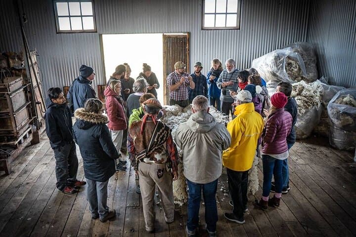 Estancia La Península Day Tour: Traditional Patagonian Ranch Experience from Puerto Natales photo 6