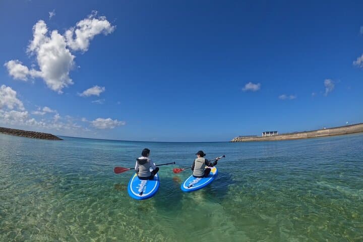 Okinawa West Coast 3-Hour Paddle-boarding: SUP Tour from Sobe Beach photo 5