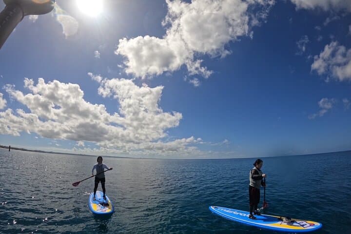 Okinawa West Coast 3-Hour Paddle-boarding: SUP Tour from Sobe Beach photo 6
