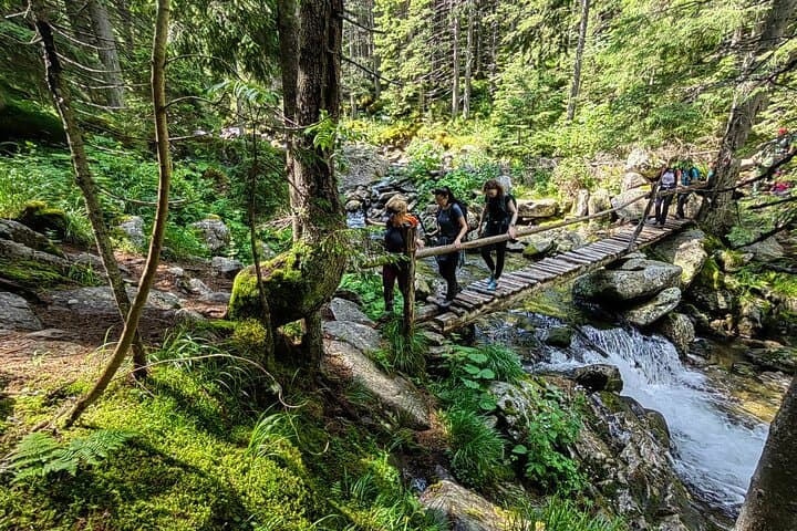 Full-Day Hiking in Retezat National Park: Glacial Lakes & Alpine Ridges photo 4