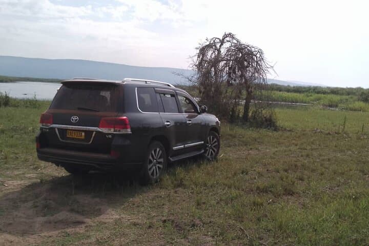 Premium Land Cruiser V8 Safari in Akagera National Park photo 6