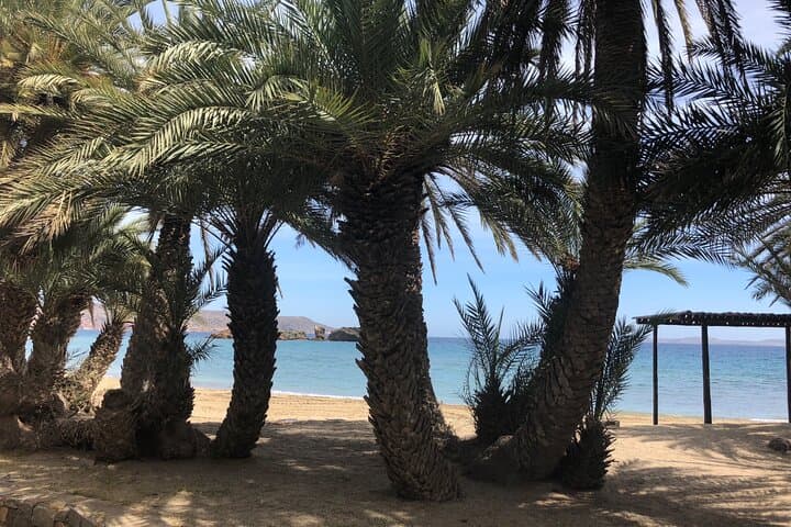Private VIP Excursion to Vai Beach and Toplou Monastery — Full-Day Crete Beach & Culture Tour