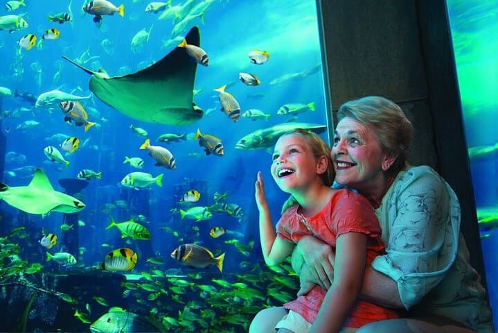 Lost Chambers Aquarium Dubai: Explore the Lost World at Atlantis The Palm photo 4