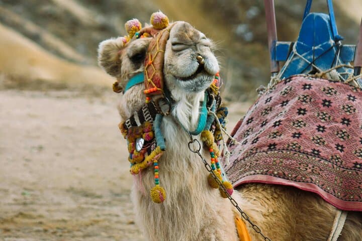 Cappadocia Red Tour: One-Day History and Nature Highlights photo 4
