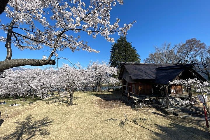 Iiyama Castle Cherry Blossoms & Nozawa Onsen Morning Tour — Spring Walks and Local Onsens photo 1