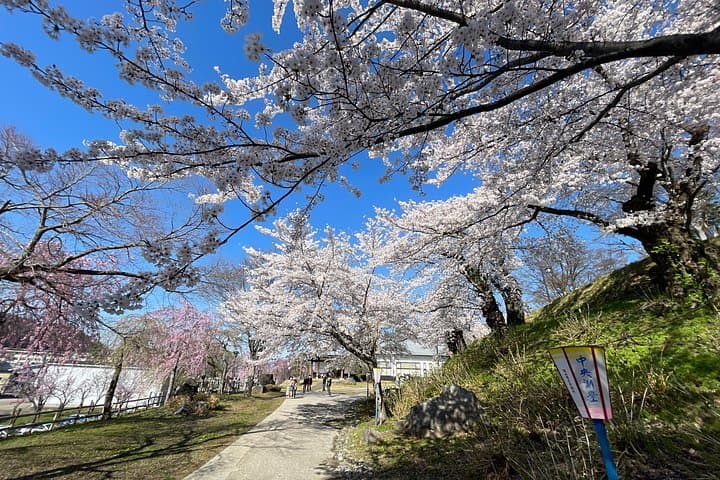 Iiyama Castle Cherry Blossoms & Nozawa Onsen Morning Tour — Spring Walks and Local Onsens photo 3