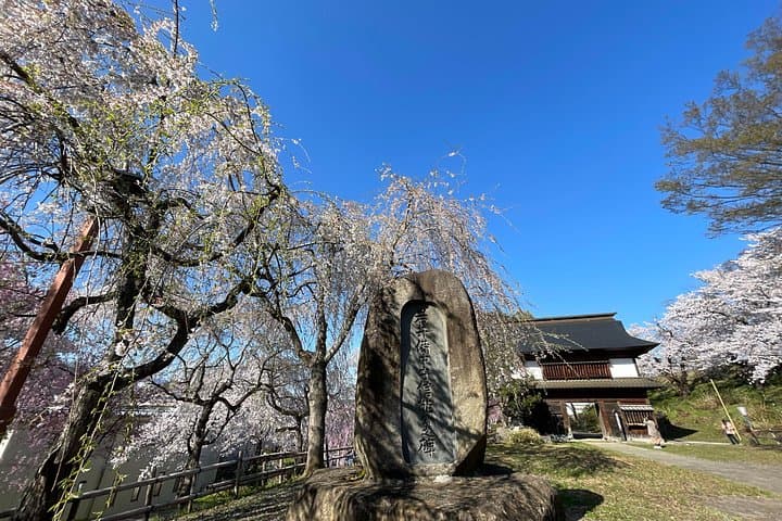 Iiyama Castle Cherry Blossoms & Nozawa Onsen Morning Tour — Spring Walks and Local Onsens photo 4