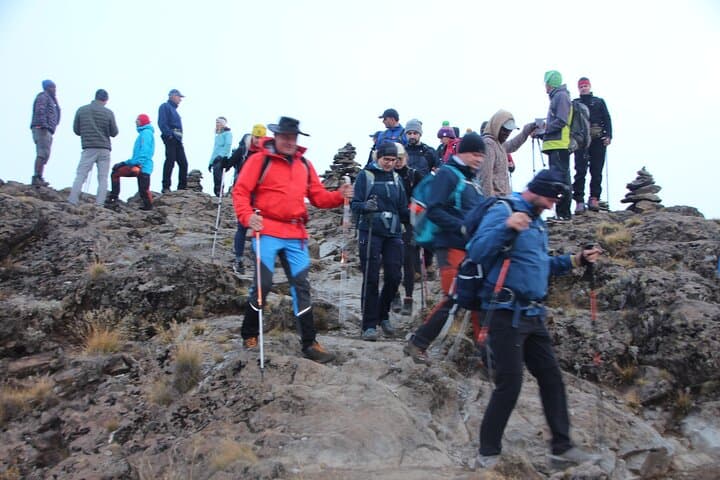 7-Day Machame Route Kilimanjaro Trek: Group Join Summit via Uhuru Peak photo 4