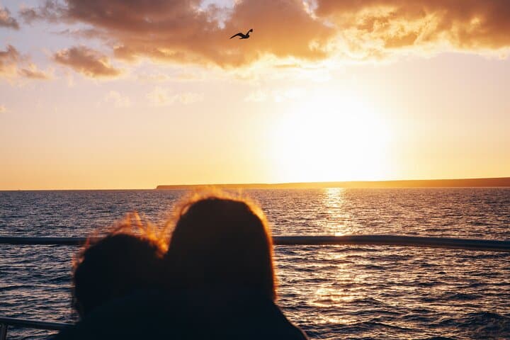 Sunset Catamaran Cruise in Puerto del Carmen — 2-Hour Dolphins & Drinks photo 2