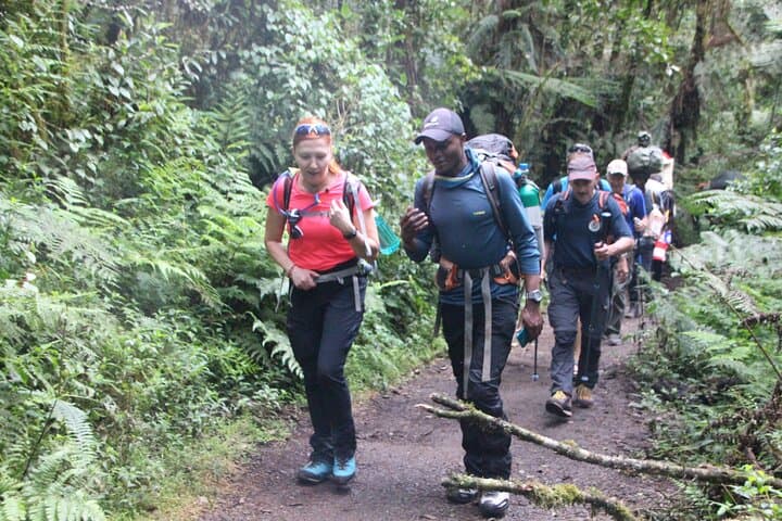 7-Day Machame Route Kilimanjaro Trek: Group Join Summit via Uhuru Peak photo 5