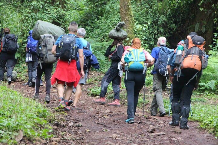 7-Day Machame Route Kilimanjaro Trek: Group Join Summit via Uhuru Peak photo 6