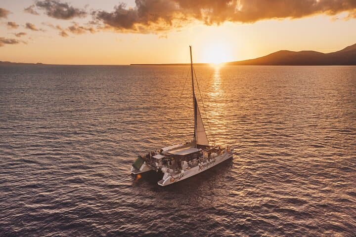 Sunset Catamaran Cruise in Puerto del Carmen — 2-Hour Dolphins & Drinks photo 6