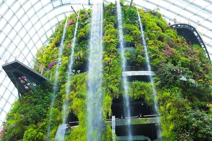 inside-singapores-cloud-forest-and-flower-dome-gardens-by-the-bay-pass photo 3