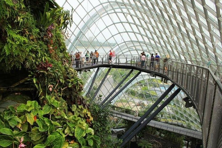 inside-singapores-cloud-forest-and-flower-dome-gardens-by-the-bay-pass photo 5