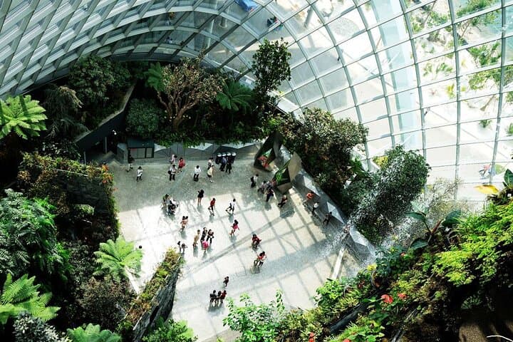 inside-singapores-cloud-forest-and-flower-dome-gardens-by-the-bay-pass photo 6