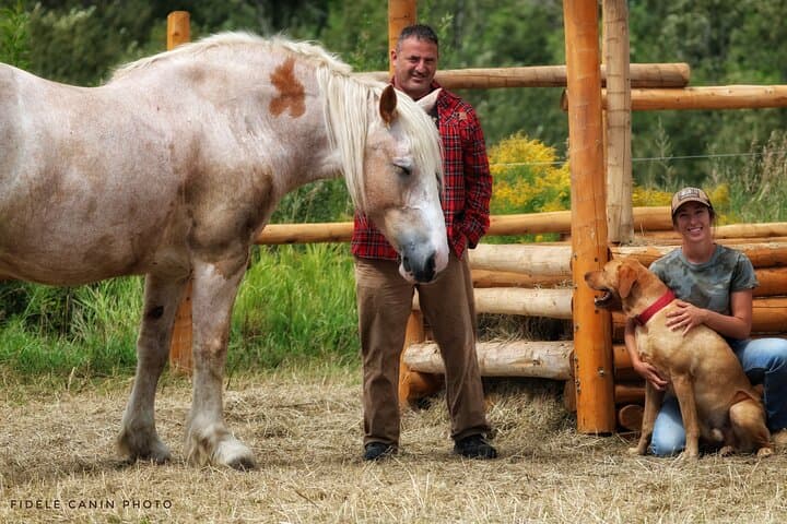 Guided Horseback Riding in Baie-Saint-Paul Valley — 90-Min Trail Ride in Charlevoix photo 4