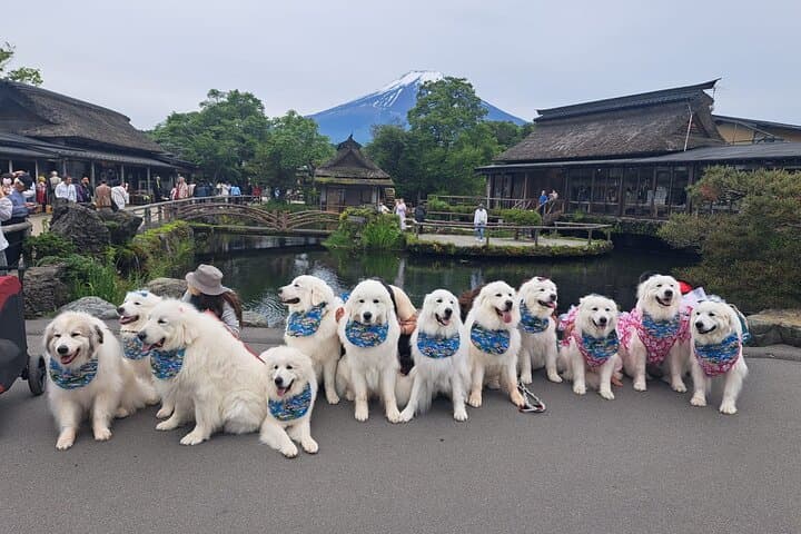 Private Mount Fuji Day Tour from Tokyo: Chureito, Caves, Onsen & Views photo 6