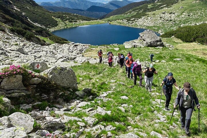Full-Day Hiking in Retezat National Park: Glacial Lakes & Alpine Ridges photo 2