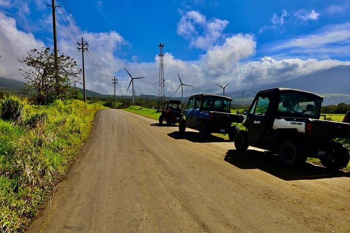 Side-by-Side Through Rivers and Savannah: Rincón de la Vieja ATV Adventure photo 6