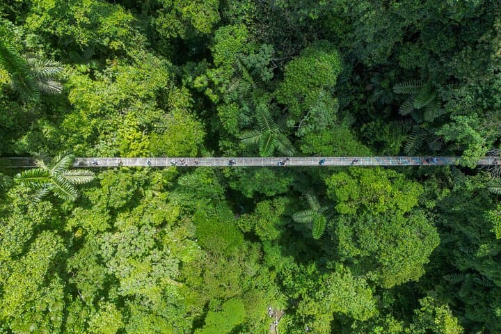 Mistico Hanging Bridges La Fortuna Waterfall Tour with Lunch — Arenal Rainforest Hike photo 1