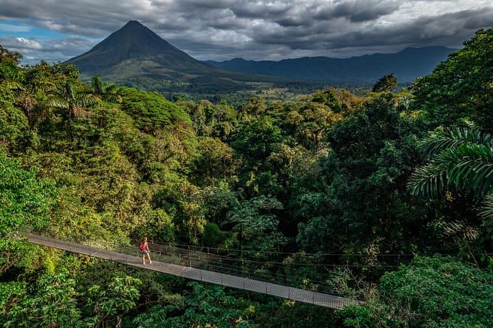 Mistico Hanging Bridges La Fortuna Waterfall Tour with Lunch — Arenal Rainforest Hike photo 2