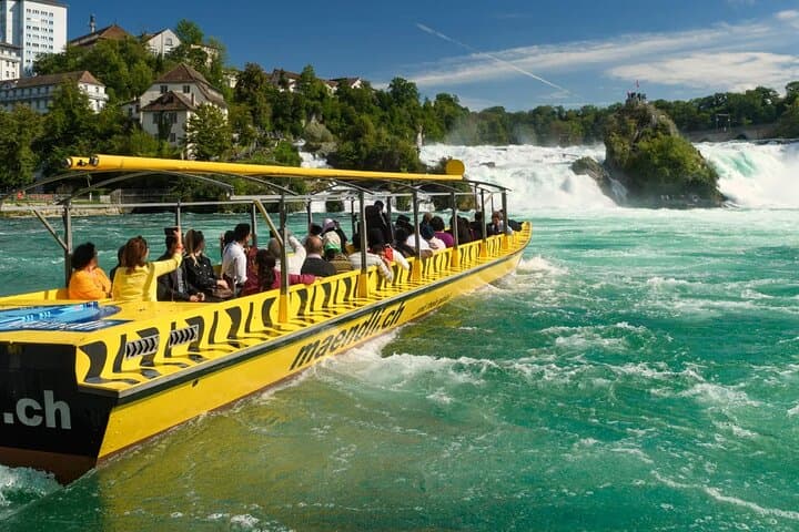Rhine Falls, Titisee & Black Forest Private Day Tour from Zurich photo 2