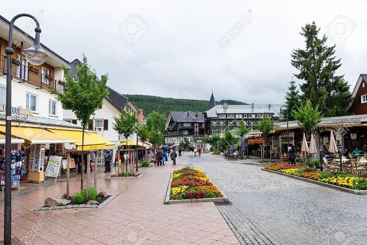 Rhine Falls, Titisee & Black Forest Private Day Tour from Zurich photo 4