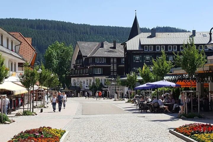 Rhine Falls, Titisee & Black Forest Private Day Tour from Zurich photo 5