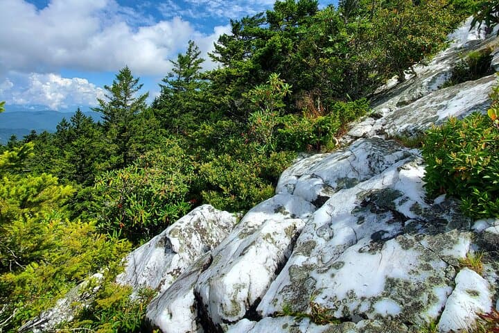 Hike to Shining Rock Gap: Guided Art Loeb Trail Trek to Quartz Outcrops photo 5