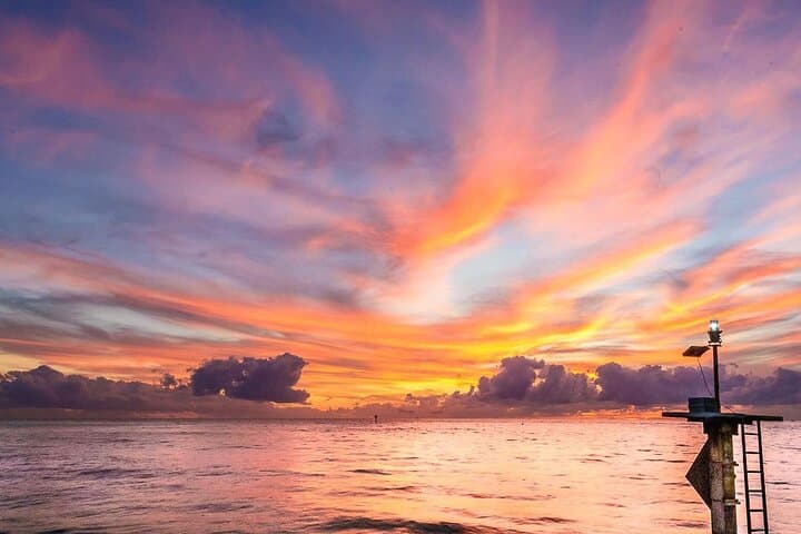 Johns Pass Sunset Cruise: Free Beer, Gulf Beaches & Evening Wildlife photo 4