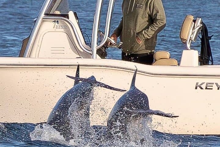 Private Boat Tour: Dolphins, Shell Island & Snorkel from Panama City Beach photo 4