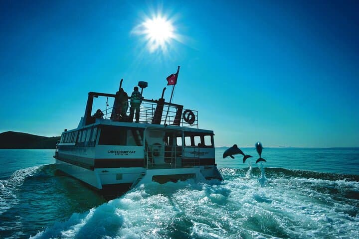 Swim with Hector’s Dolphins: Akaroa Day Trip from Christchurch photo 4