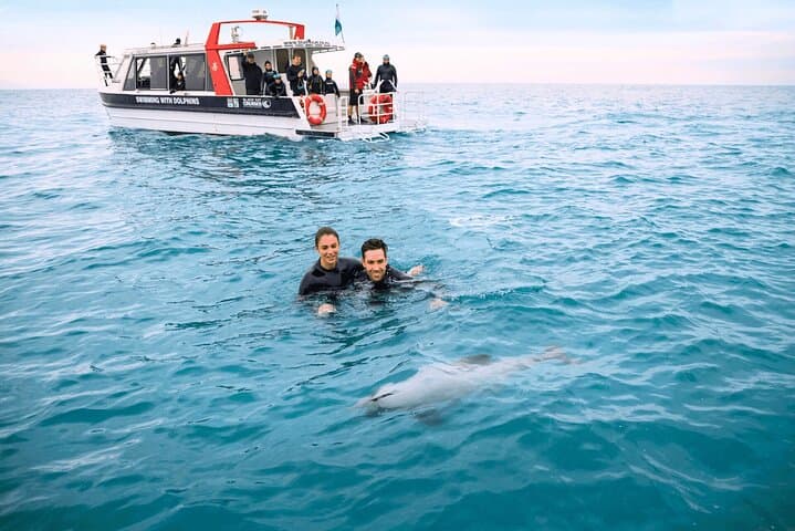 Swim with Hector’s Dolphins: Akaroa Day Trip from Christchurch photo 6
