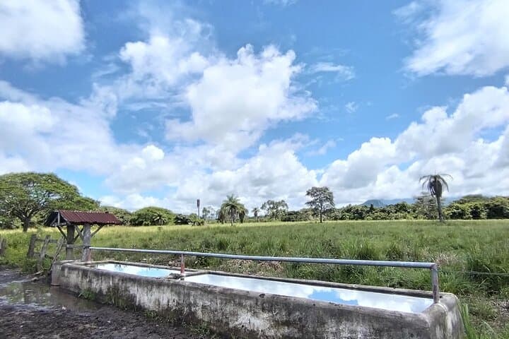 Cañas Dulces Mountain Bike & Natural Pool Ride — Liberia Countryside Adventure photo 3