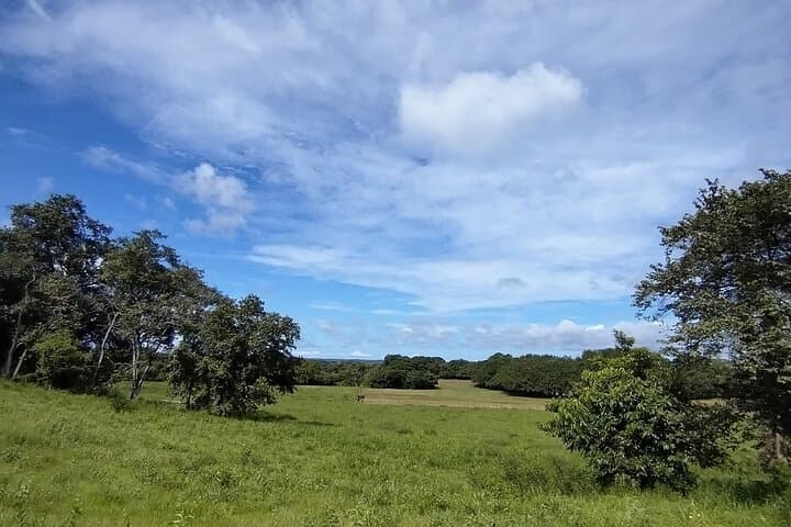 Cañas Dulces Mountain Bike & Natural Pool Ride — Liberia Countryside Adventure photo 4