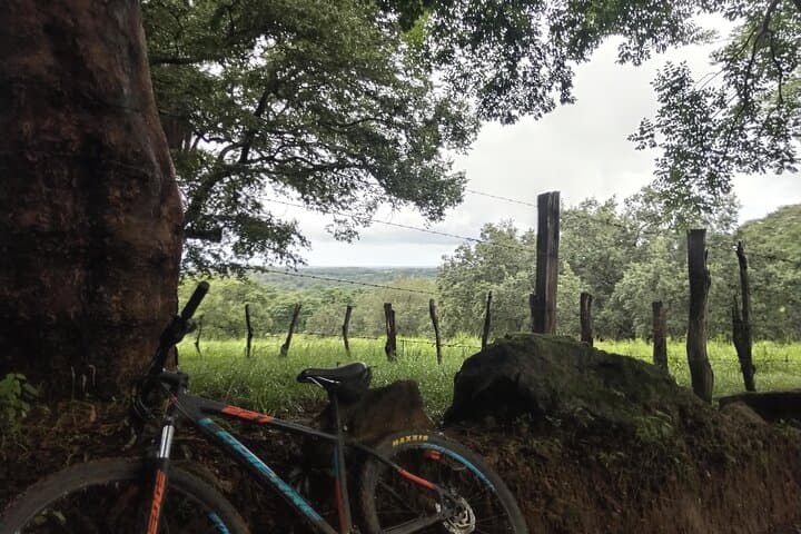 Cañas Dulces Mountain Bike & Natural Pool Ride — Liberia Countryside Adventure photo 5