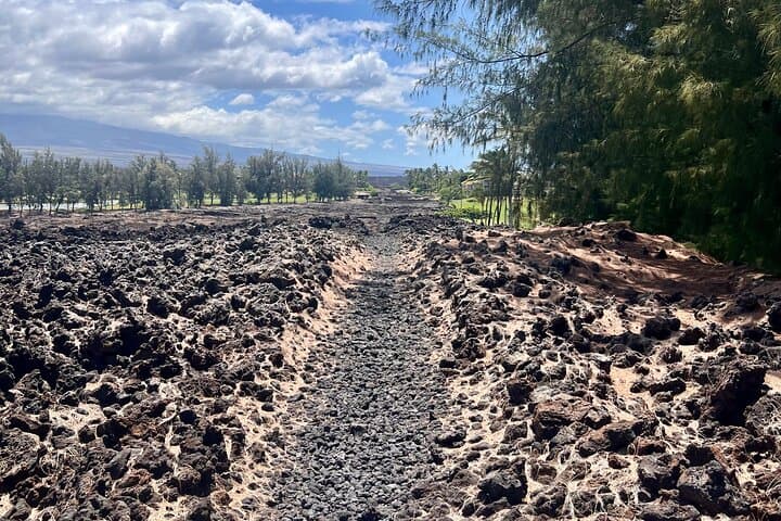 Exploring Hawaii’s Big Island: A Private Historical and Market Tour Experience photo 4