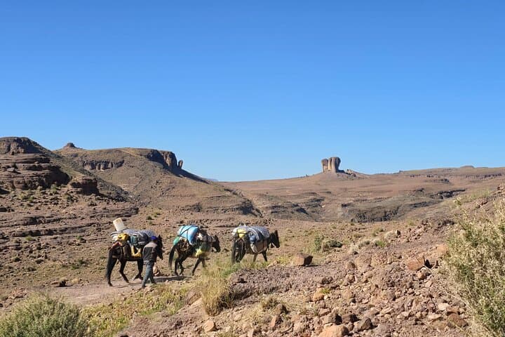 Marrakech to Jbel Saghro Trek: 5-Day Berber Trek Across the Anti-Atlas Volcanic Range photo 4