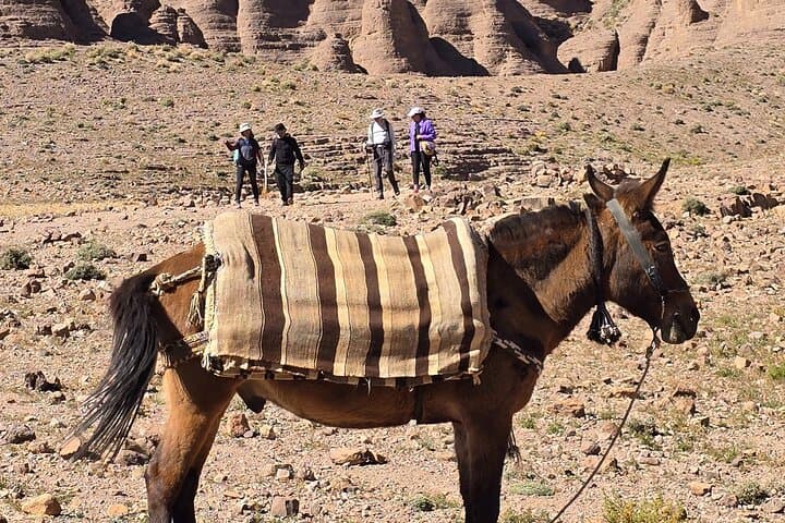 Marrakech to Jbel Saghro Trek: 5-Day Berber Trek Across the Anti-Atlas Volcanic Range photo 3